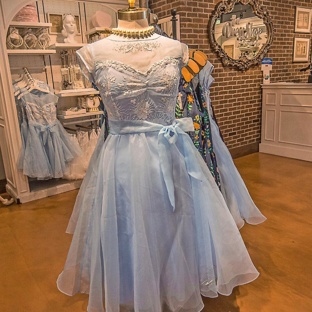 Disney Dress Shop Cinderella Dress XXL